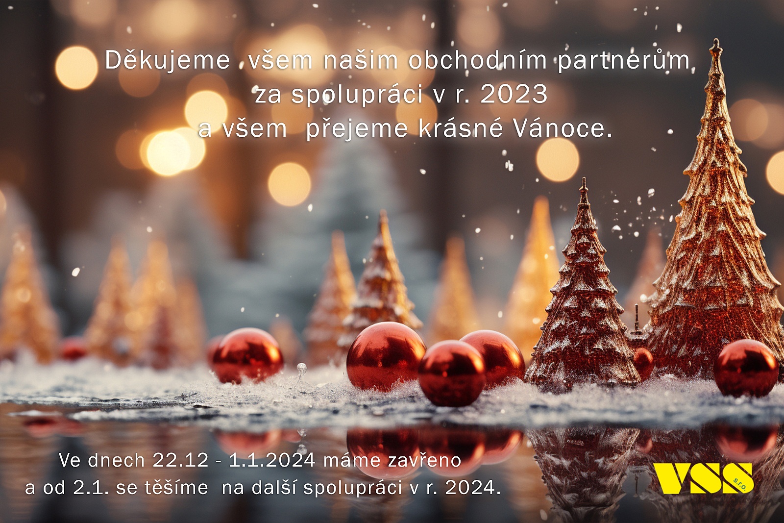 PF-2024-VSS Ke stažení